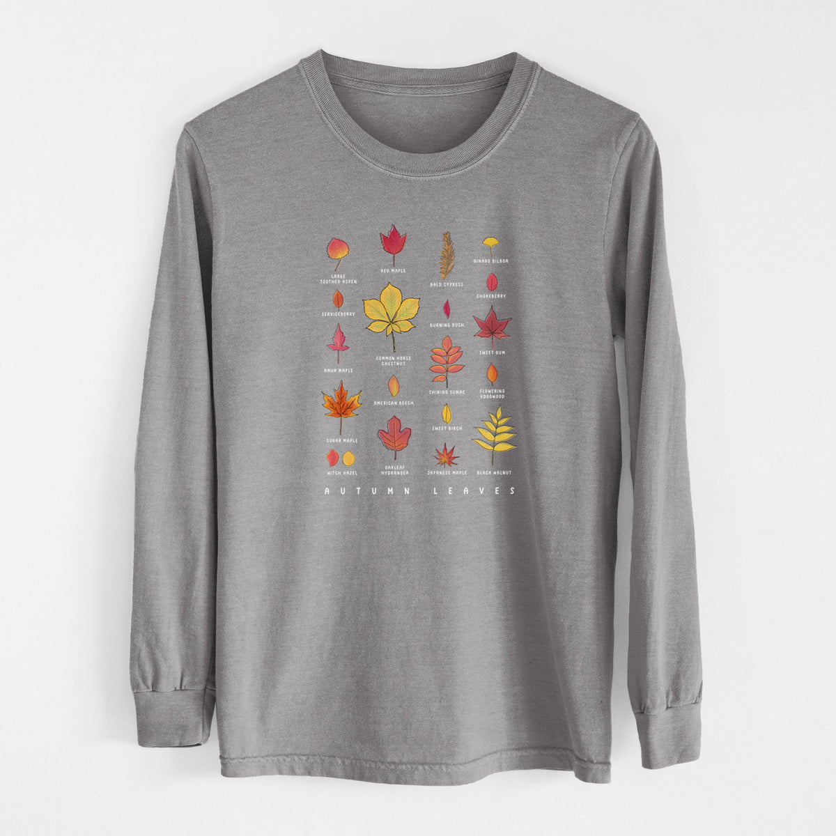 Vibrant Autumn Leaves Chart - Heavyweight 100% Cotton Long Sleeve