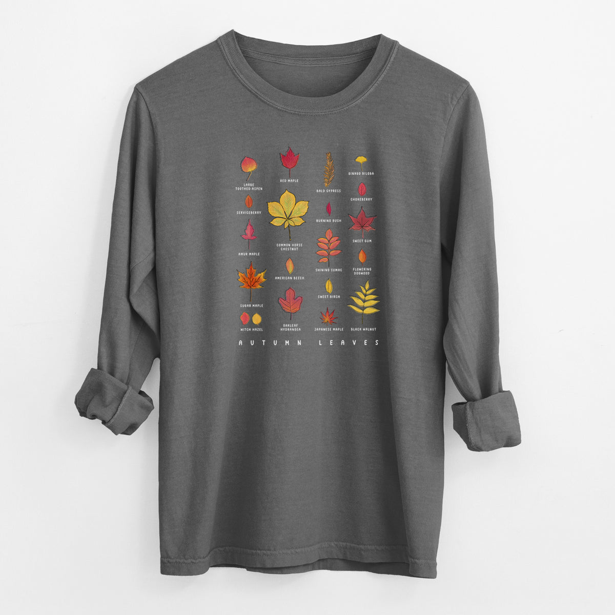 Vibrant Autumn Leaves Chart - Heavyweight 100% Cotton Long Sleeve