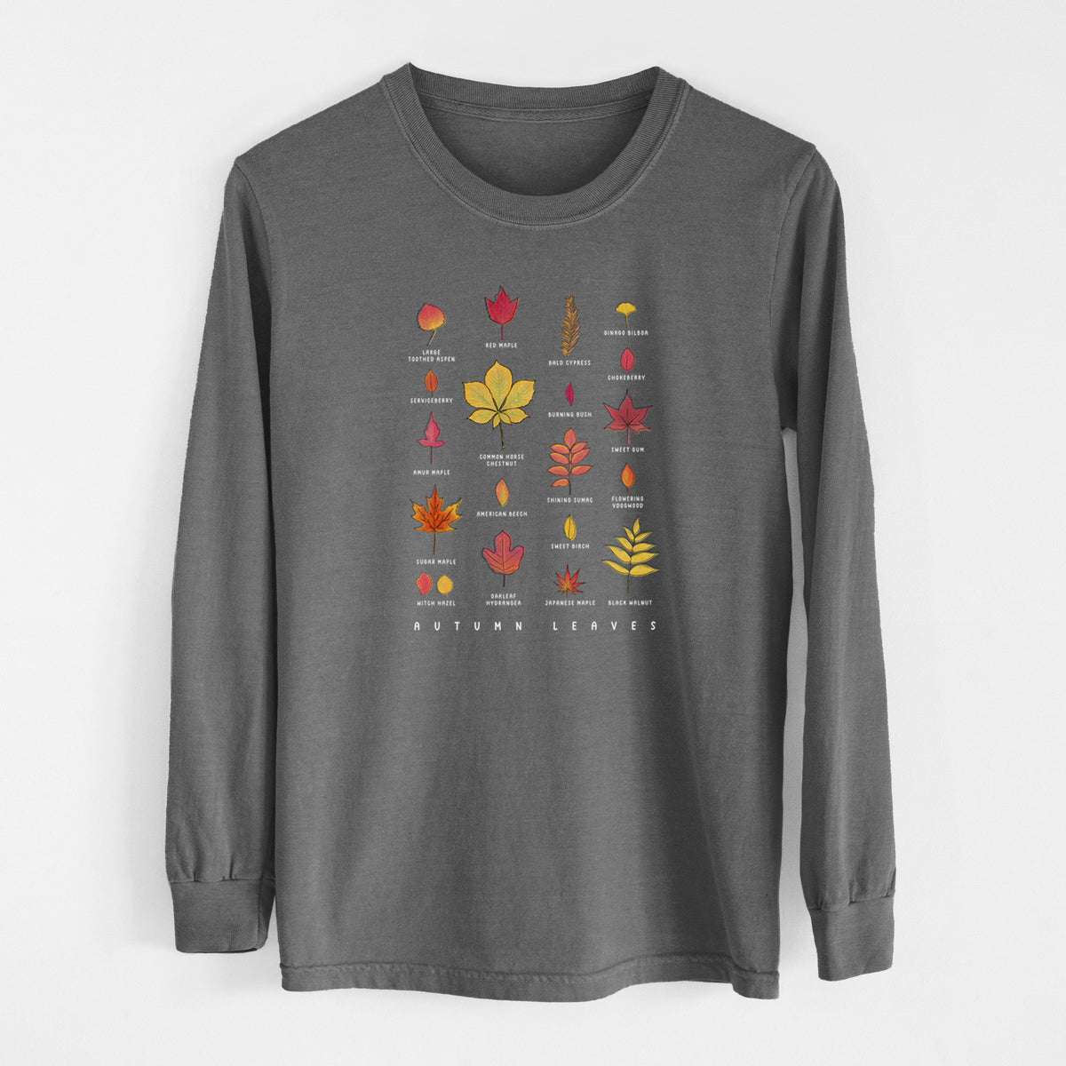 Vibrant Autumn Leaves Chart - Heavyweight 100% Cotton Long Sleeve