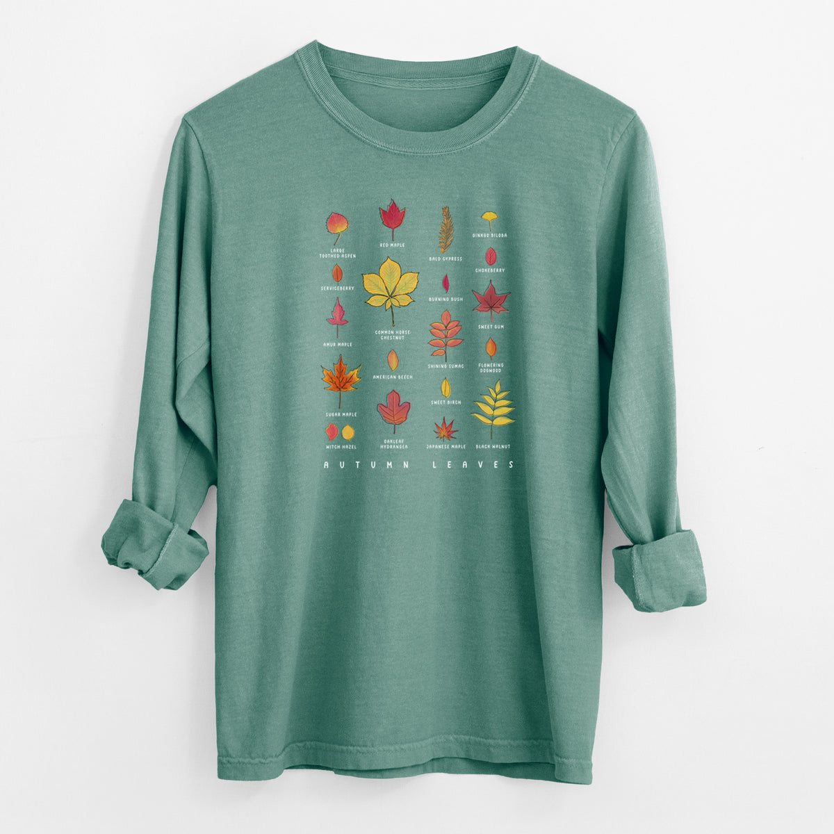 Vibrant Autumn Leaves Chart - Heavyweight 100% Cotton Long Sleeve