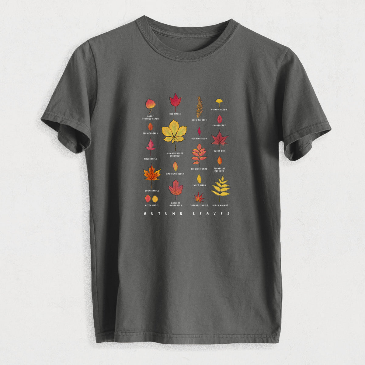 Vibrant Autumn Leaves Chart - Heavyweight Men&#39;s 100% Organic Cotton Tee