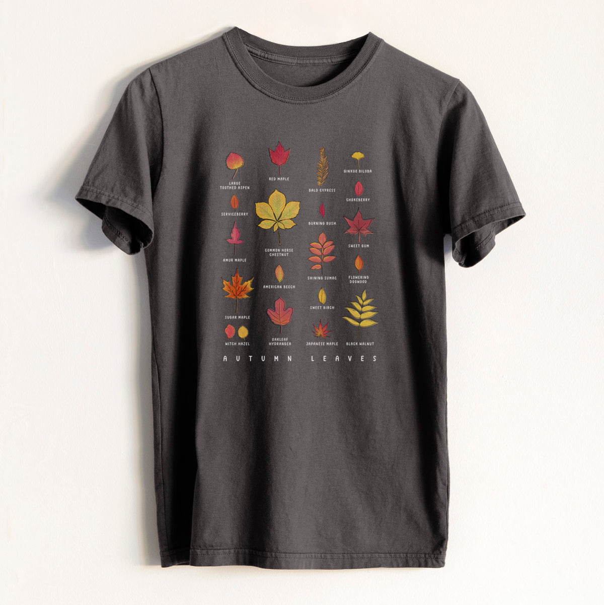 Vibrant Autumn Leaves Chart - Heavyweight Men&#39;s 100% Organic Cotton Tee