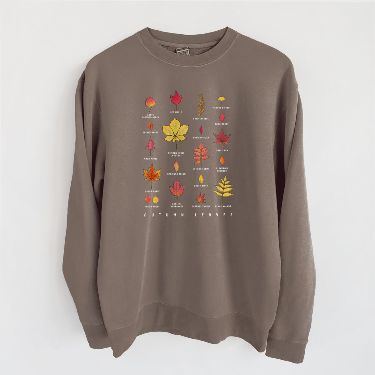 Vibrant Autumn Leaves Chart - Unisex Pigment Dyed Crew Sweatshirt in Espresso color