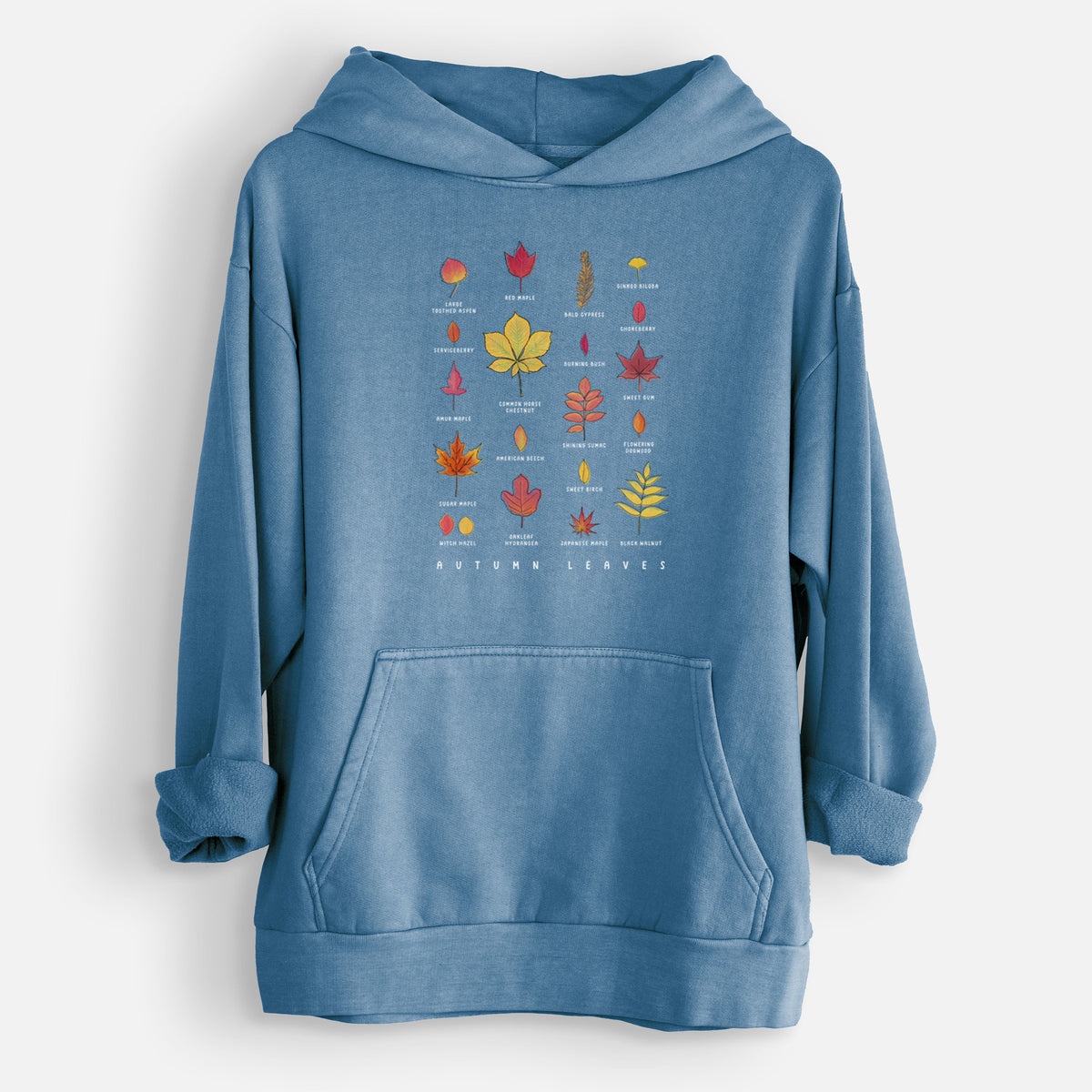 Vibrant Autumn Leaves Chart  - Urban Heavyweight Hoodie