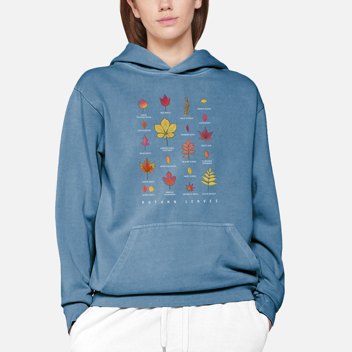 Vibrant Autumn Leaves Chart  - Urban Heavyweight Hoodie