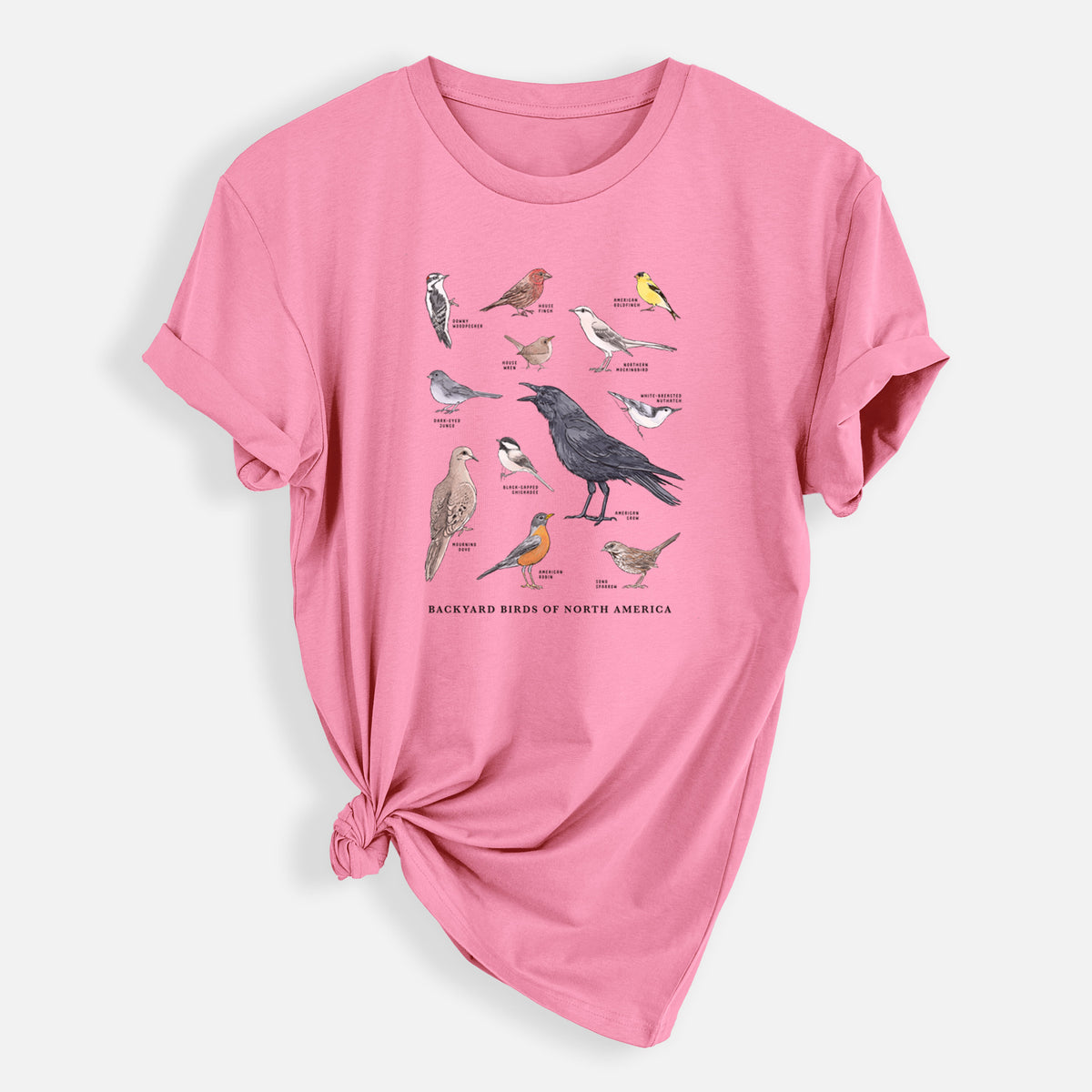 Common Backyard Birds of North America - Mens Everyday Staple Tee