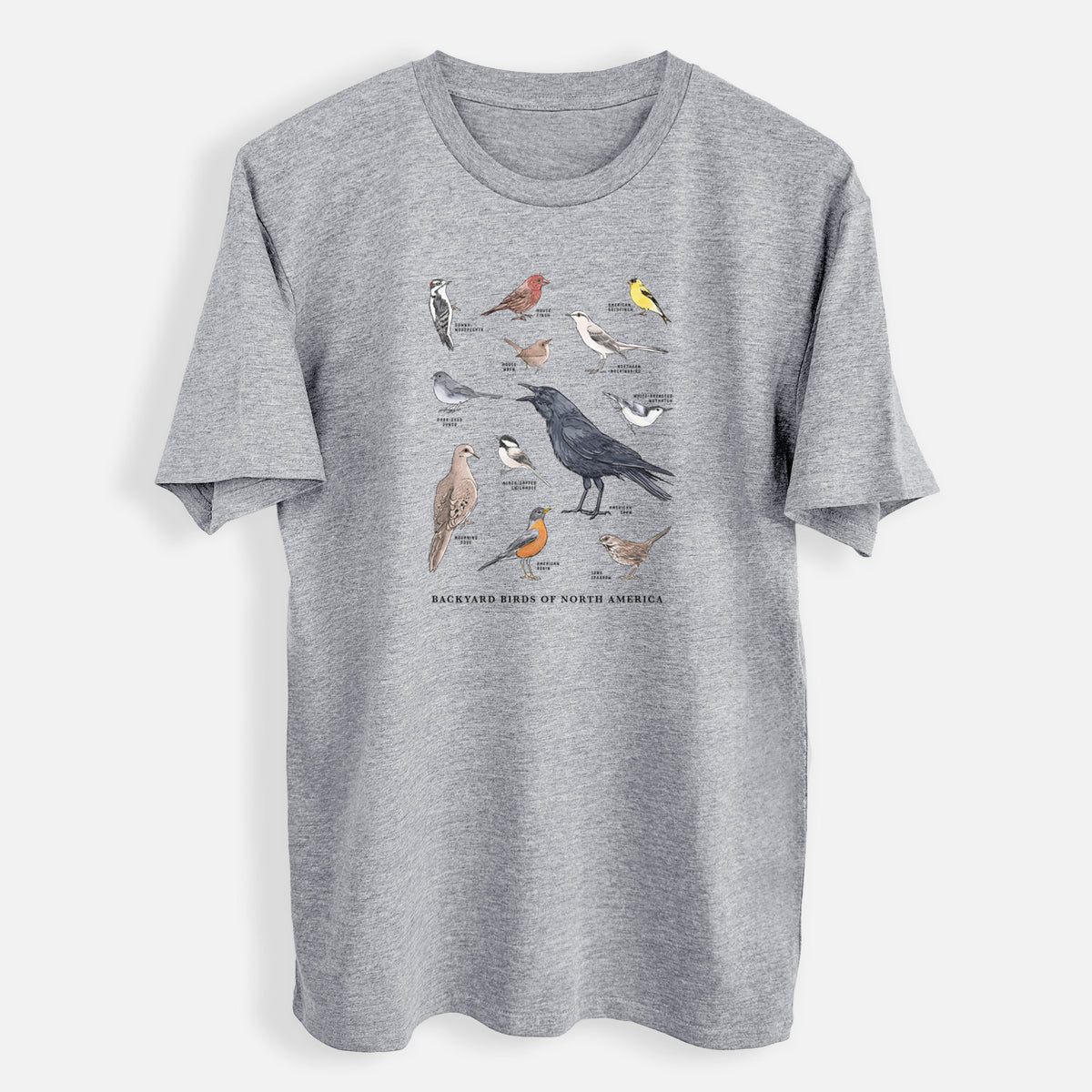 Common Backyard Birds of North America - Mens Everyday Staple Tee