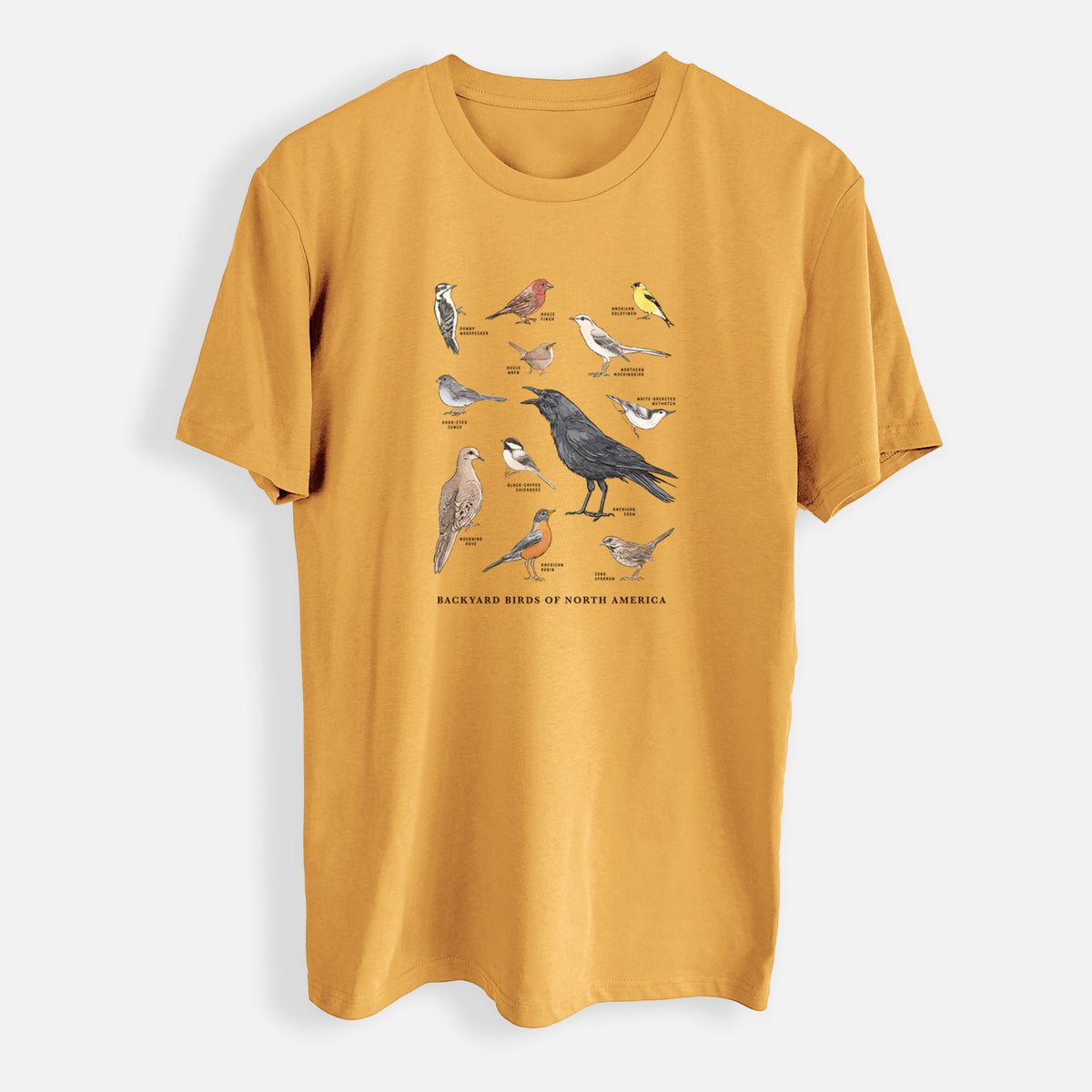 Common Backyard Birds of North America - Mens Everyday Staple Tee