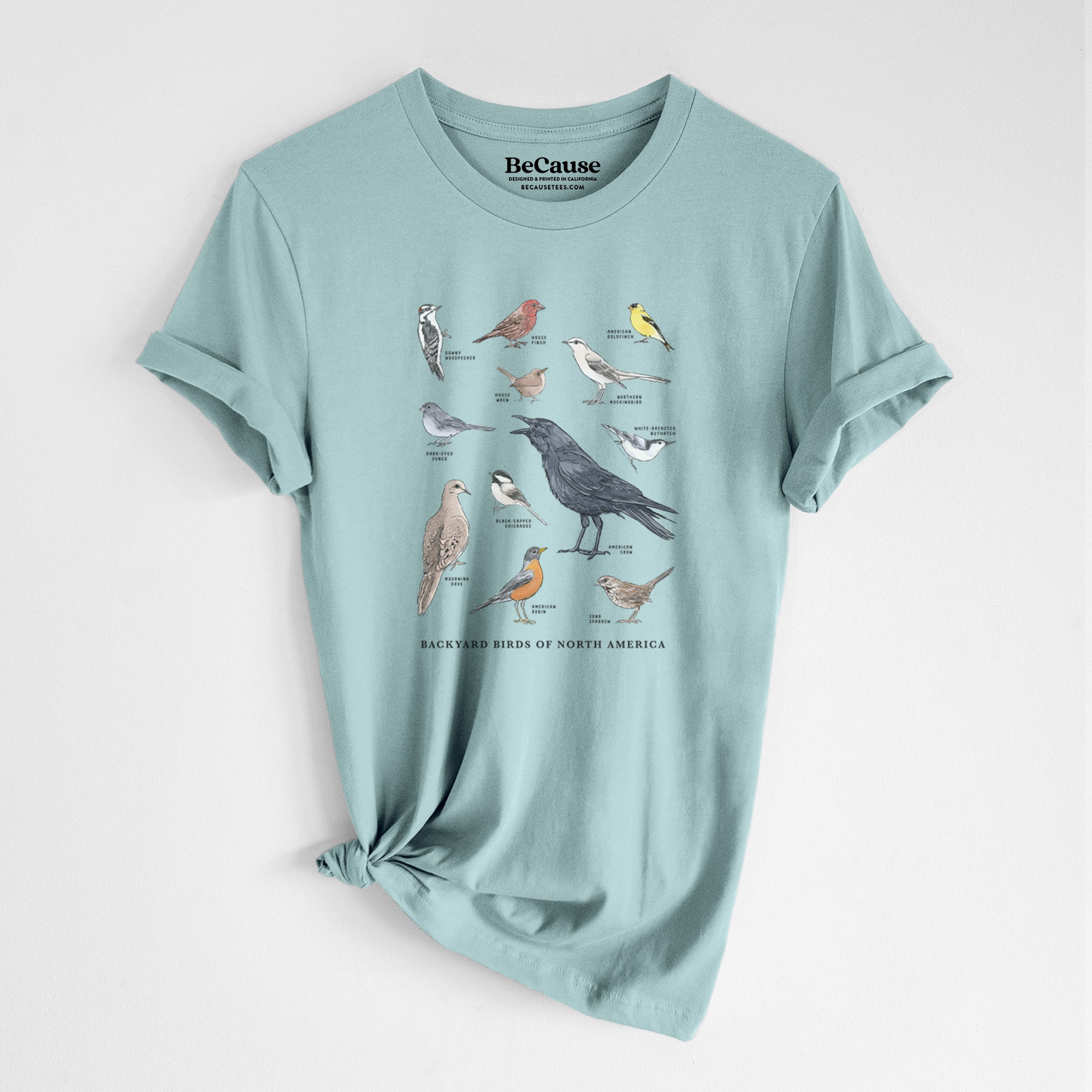 Common Backyard Birds of North America - Lightweight 100% Cotton Unisex Crewneck