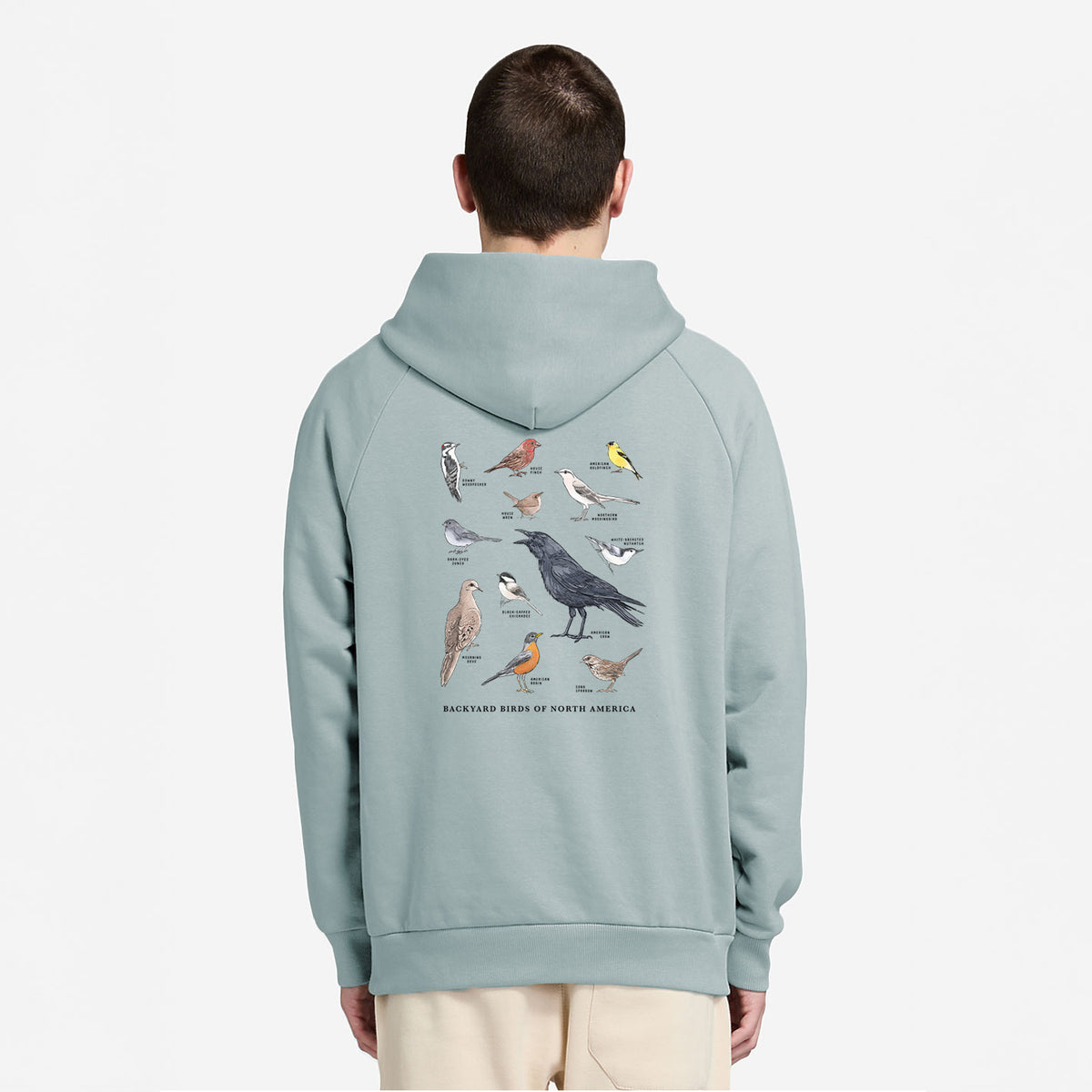 Common Backyard Birds of North America - UltraLuxe Heavyweight French Terry Hoodie