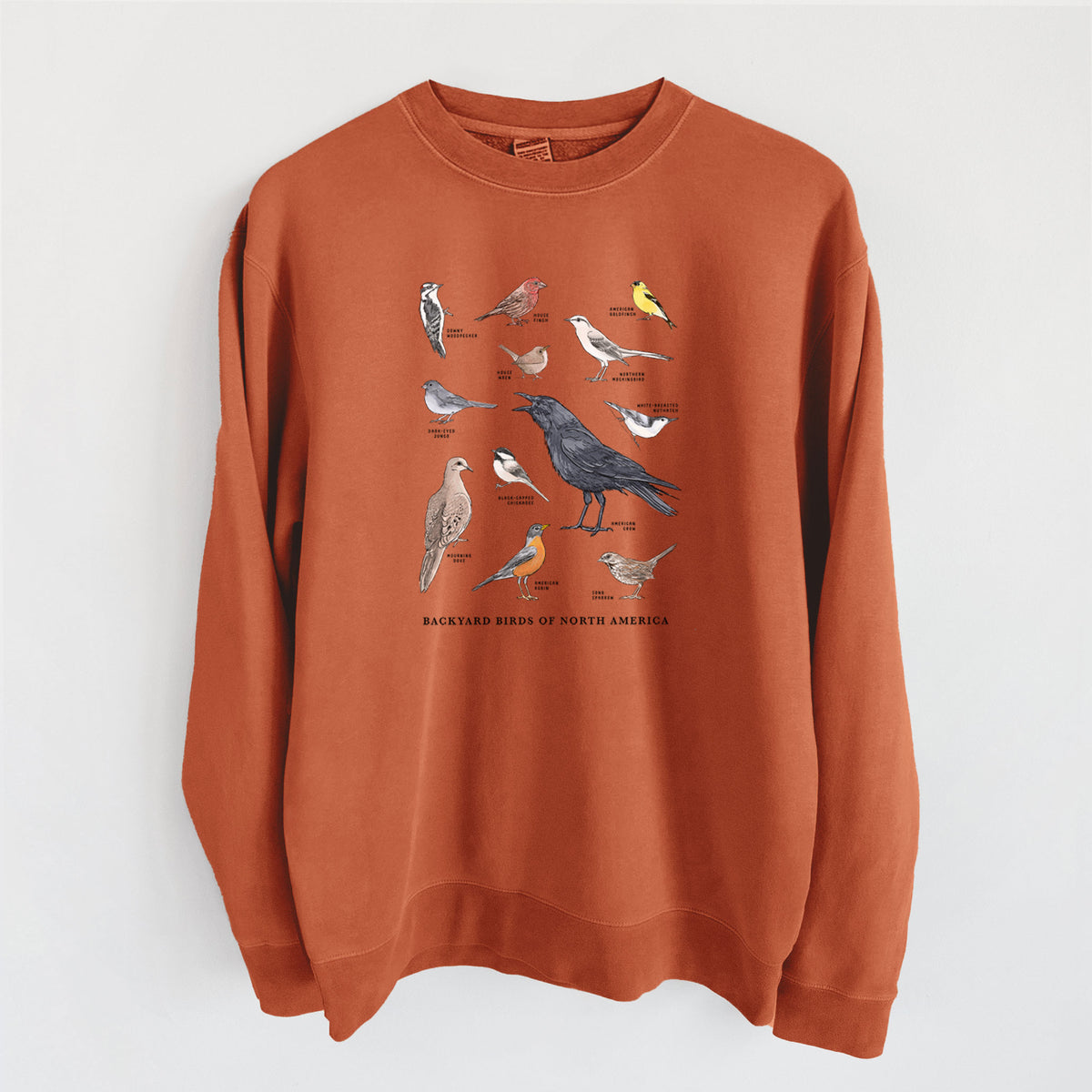 Common Backyard Birds of North America - Unisex Pigment Dyed Crew Sweatshirt in Amber