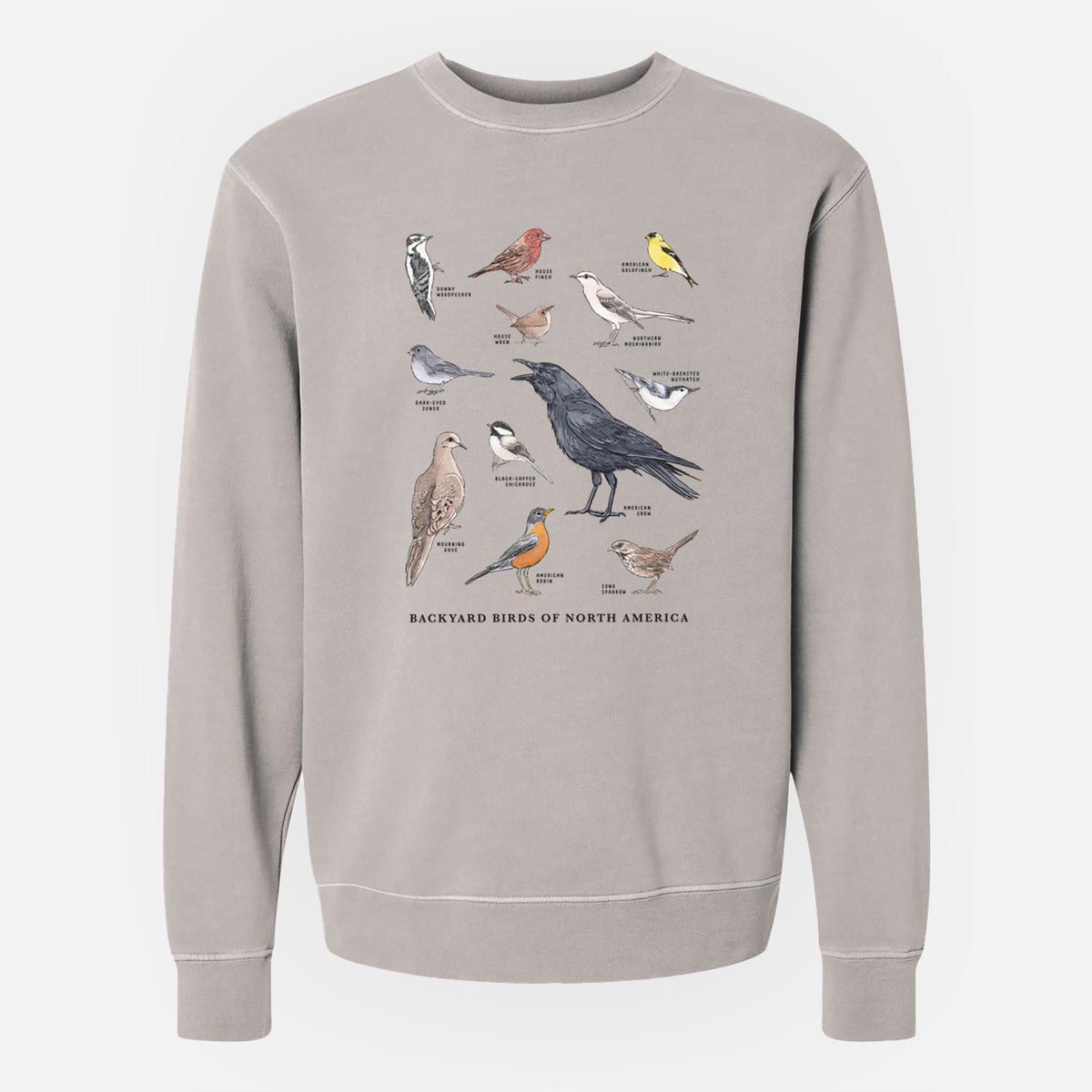 Common Backyard Birds of North America - Unisex Pigment Dyed Crew Sweatshirt