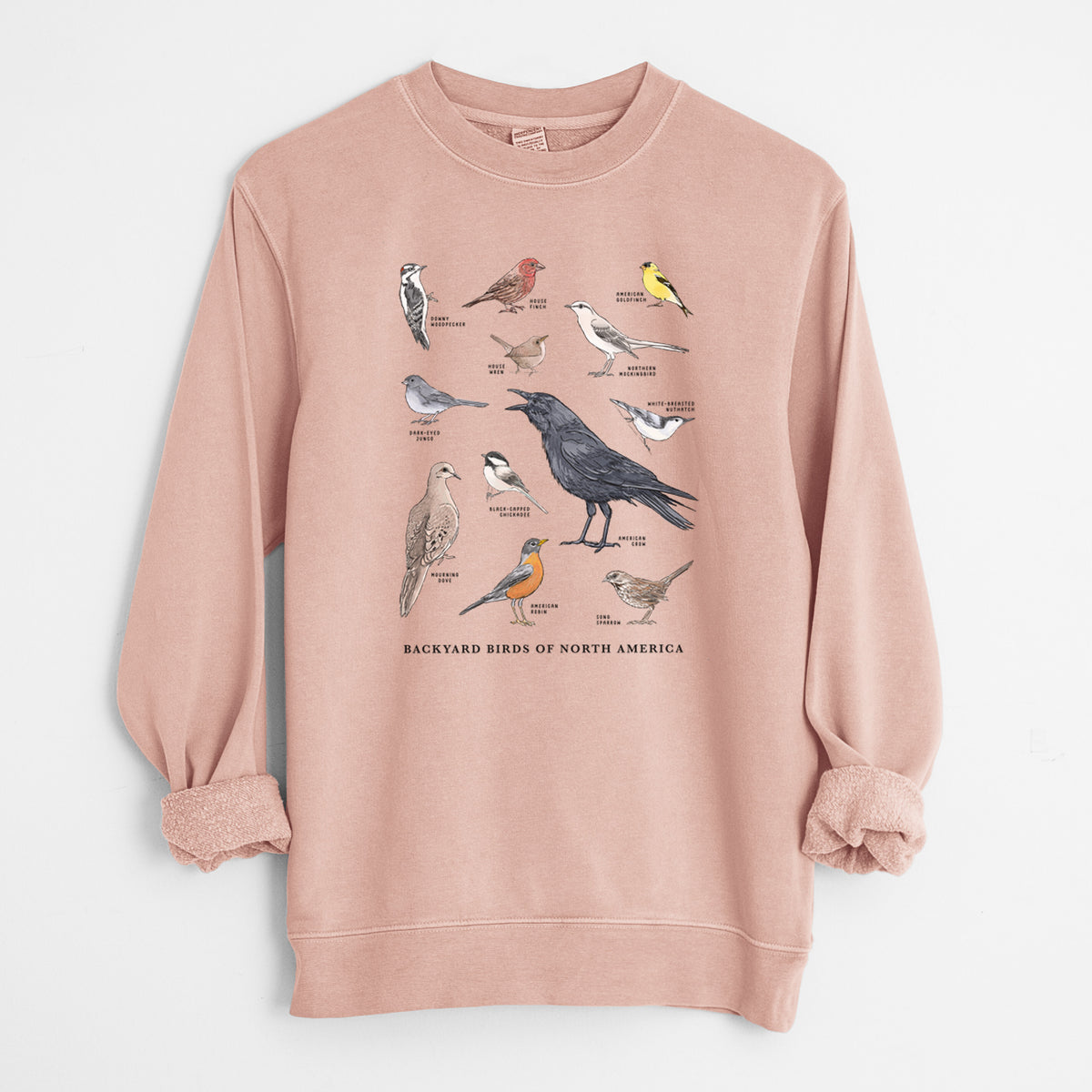 Common Backyard Birds of North America - Unisex Pigment Dyed Crew Sweatshirt