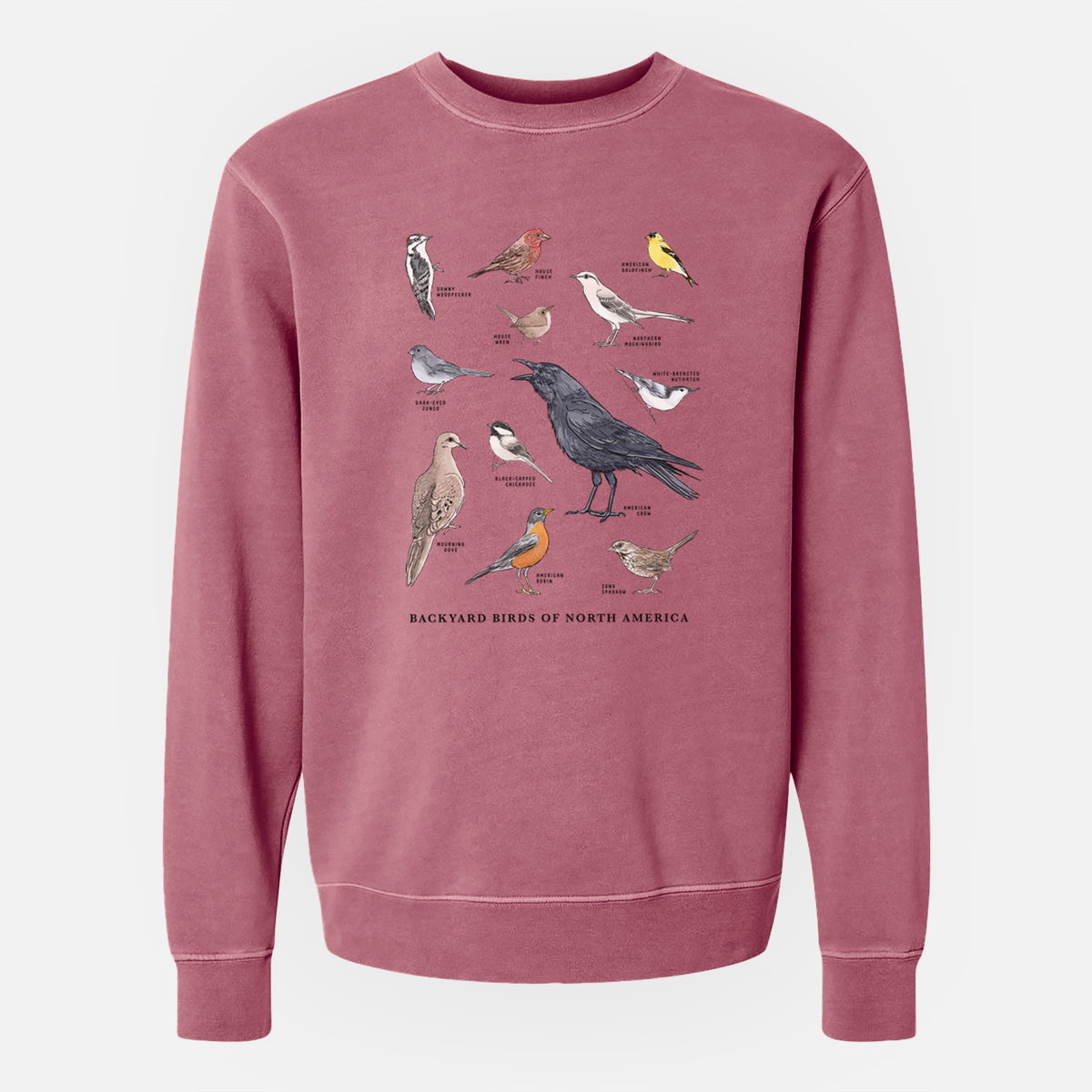 Common Backyard Birds of North America - Unisex Pigment Dyed Crew Sweatshirt