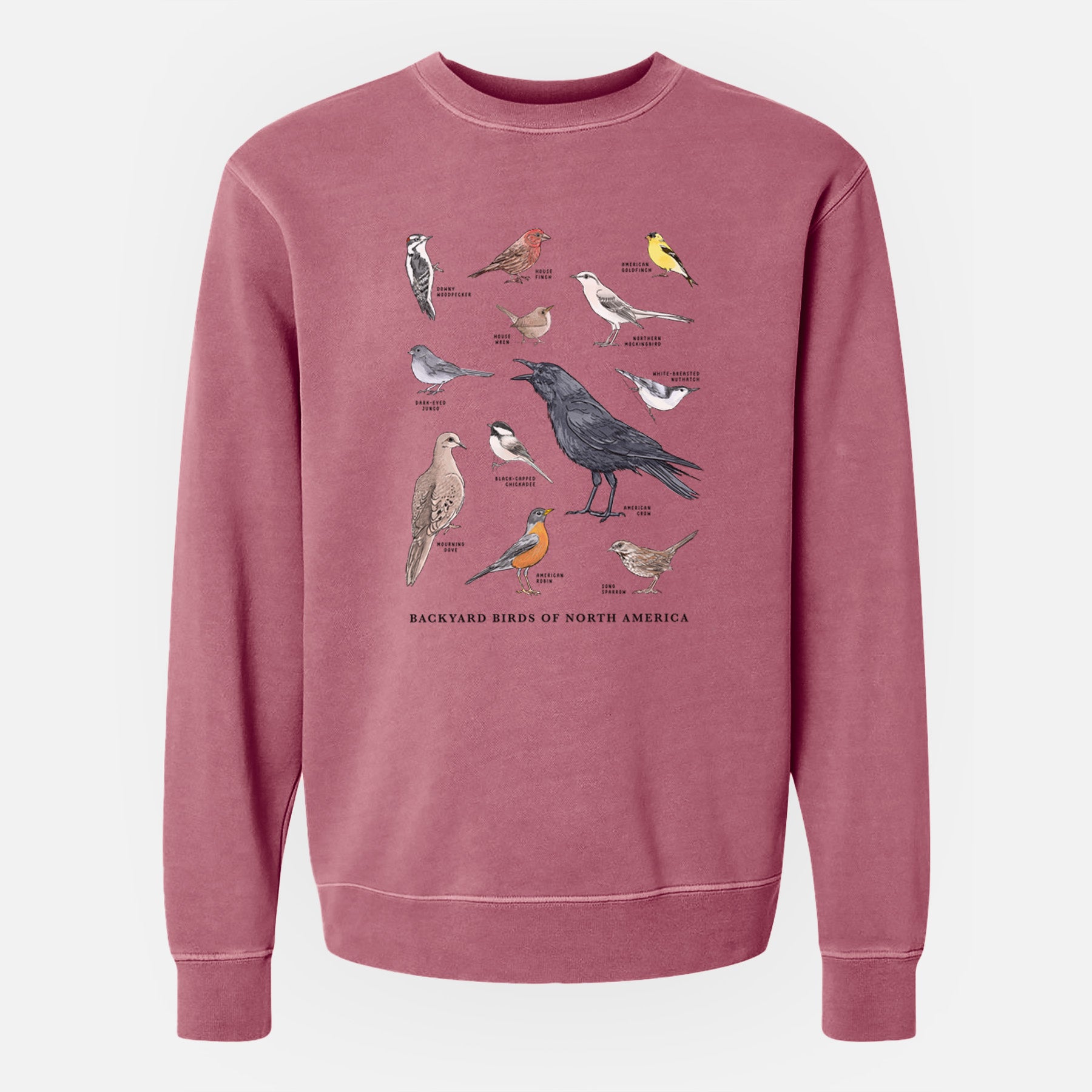 Common Backyard Birds of North America - Unisex Pigment Dyed Crew Sweatshirt
