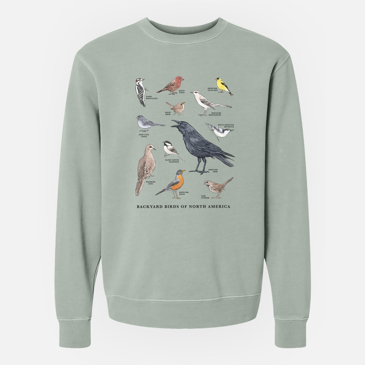 Common Backyard Birds of North America - Unisex Pigment Dyed Crew Sweatshirt