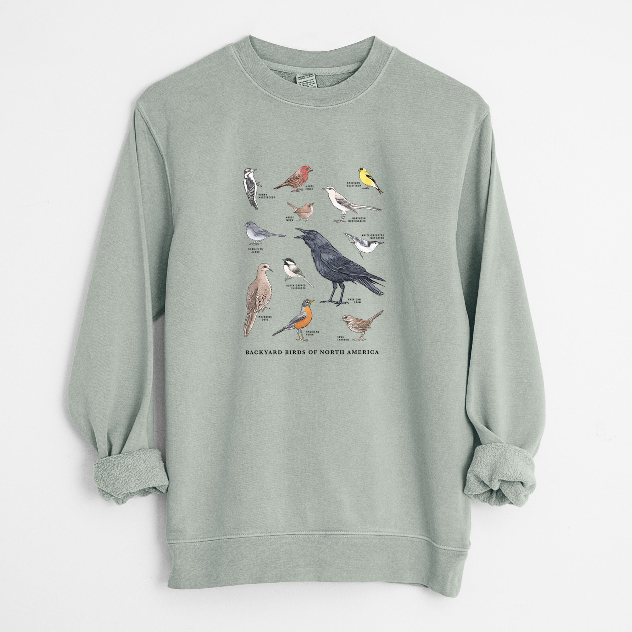 Common Backyard Birds of North America - Unisex Pigment Dyed Crew Sweatshirt