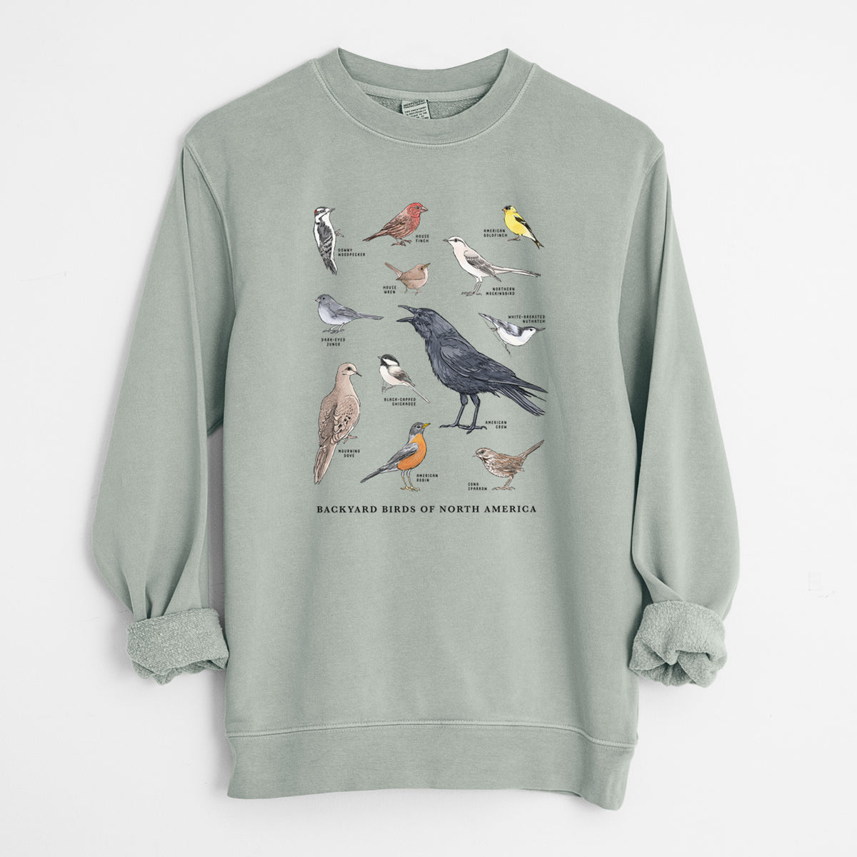 Common Backyard Birds of North America - Unisex Pigment Dyed Crew Sweatshirt