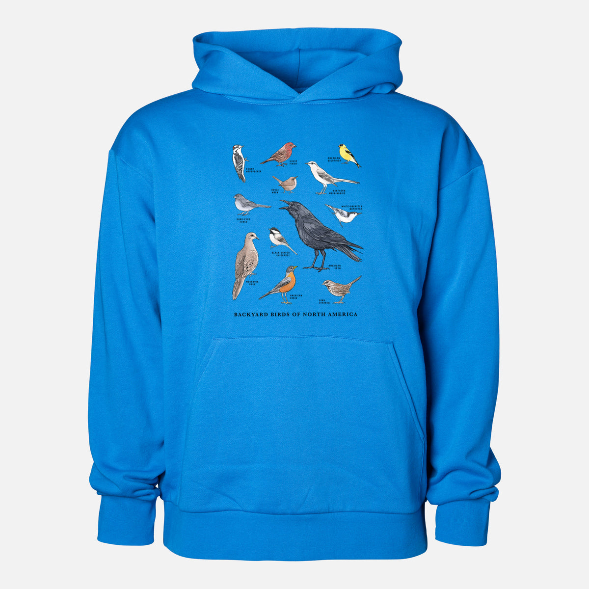 Common Backyard Birds of North America - Statement Midweight Hoodie in Azure Blue, shown from the front with the design printed on the chest above a front kangaroo pocket.