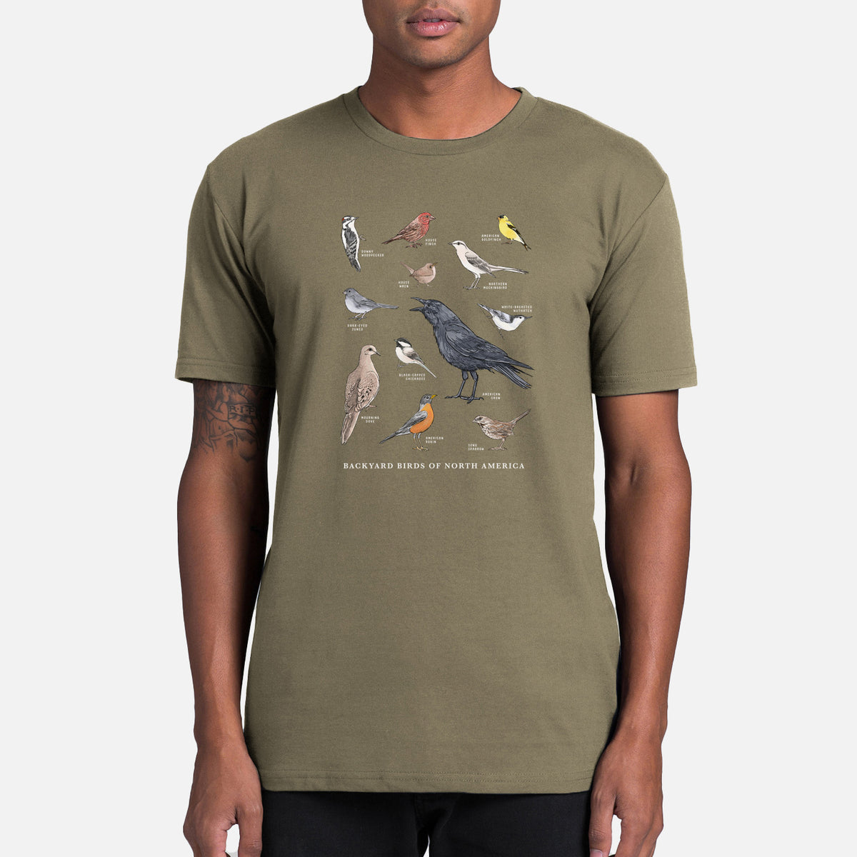 Common Backyard Birds of North America - Mens Everyday Staple Tee