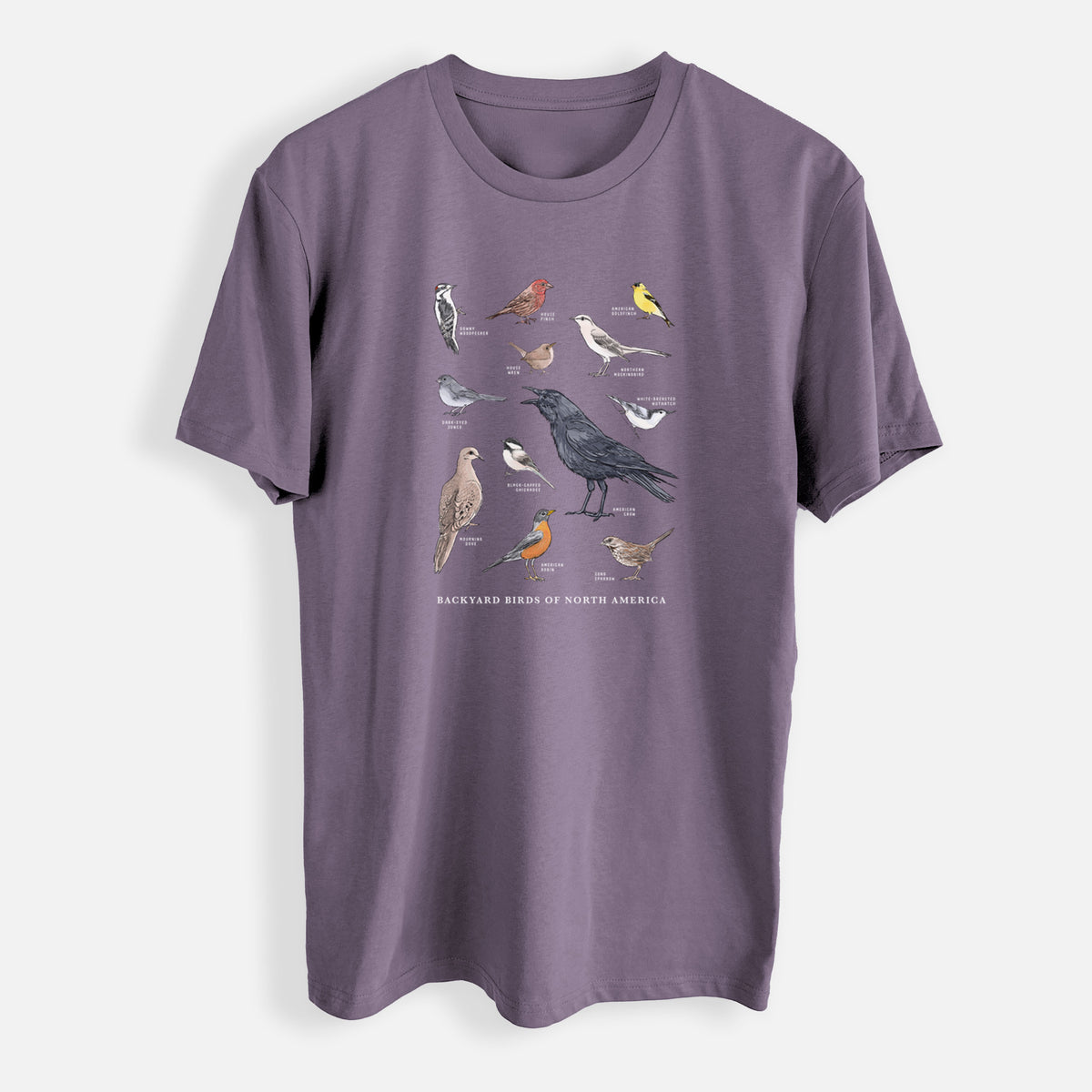 Common Backyard Birds of North America - Mens Everyday Staple Tee