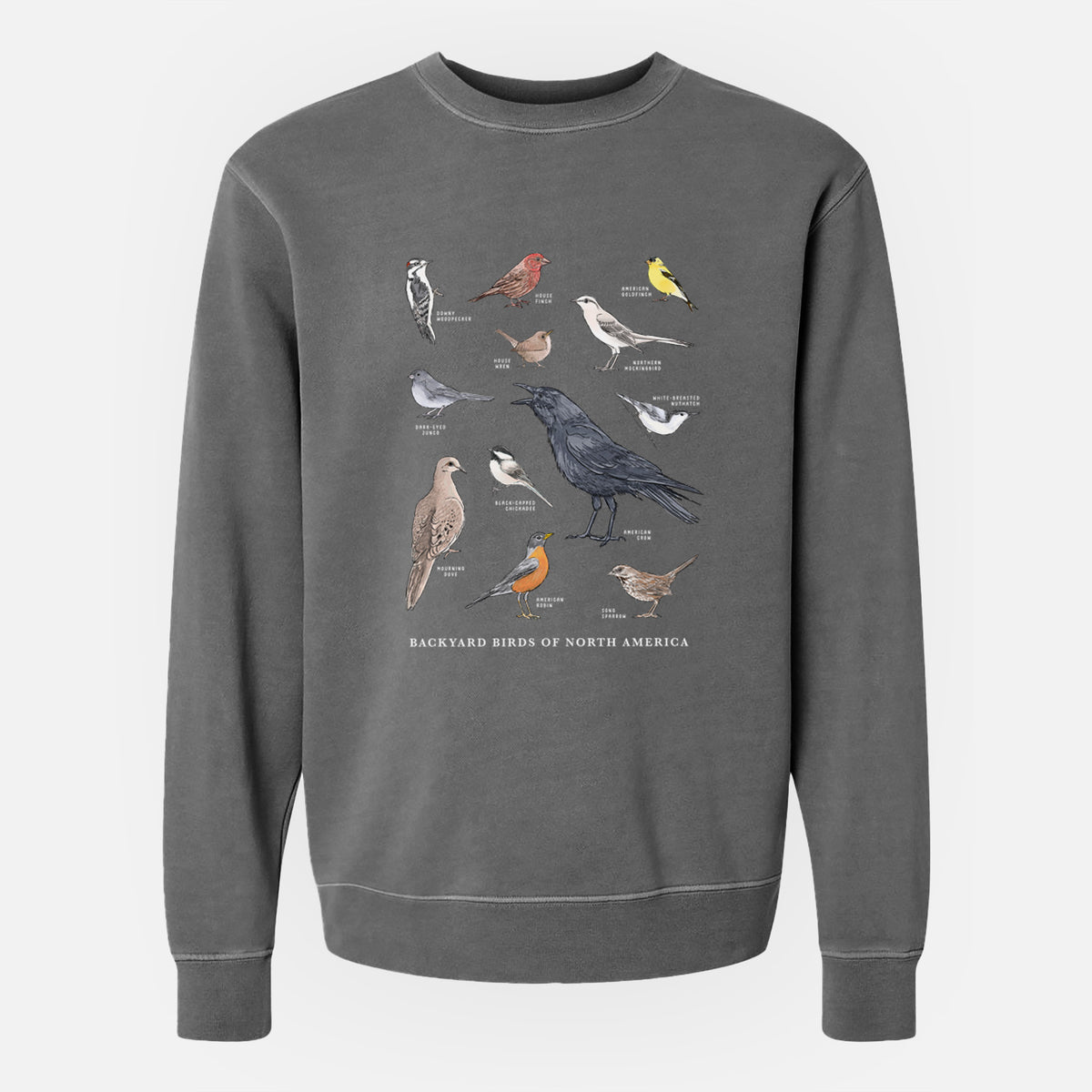 Common Backyard Birds of North America - Unisex Pigment Dyed Crew Sweatshirt