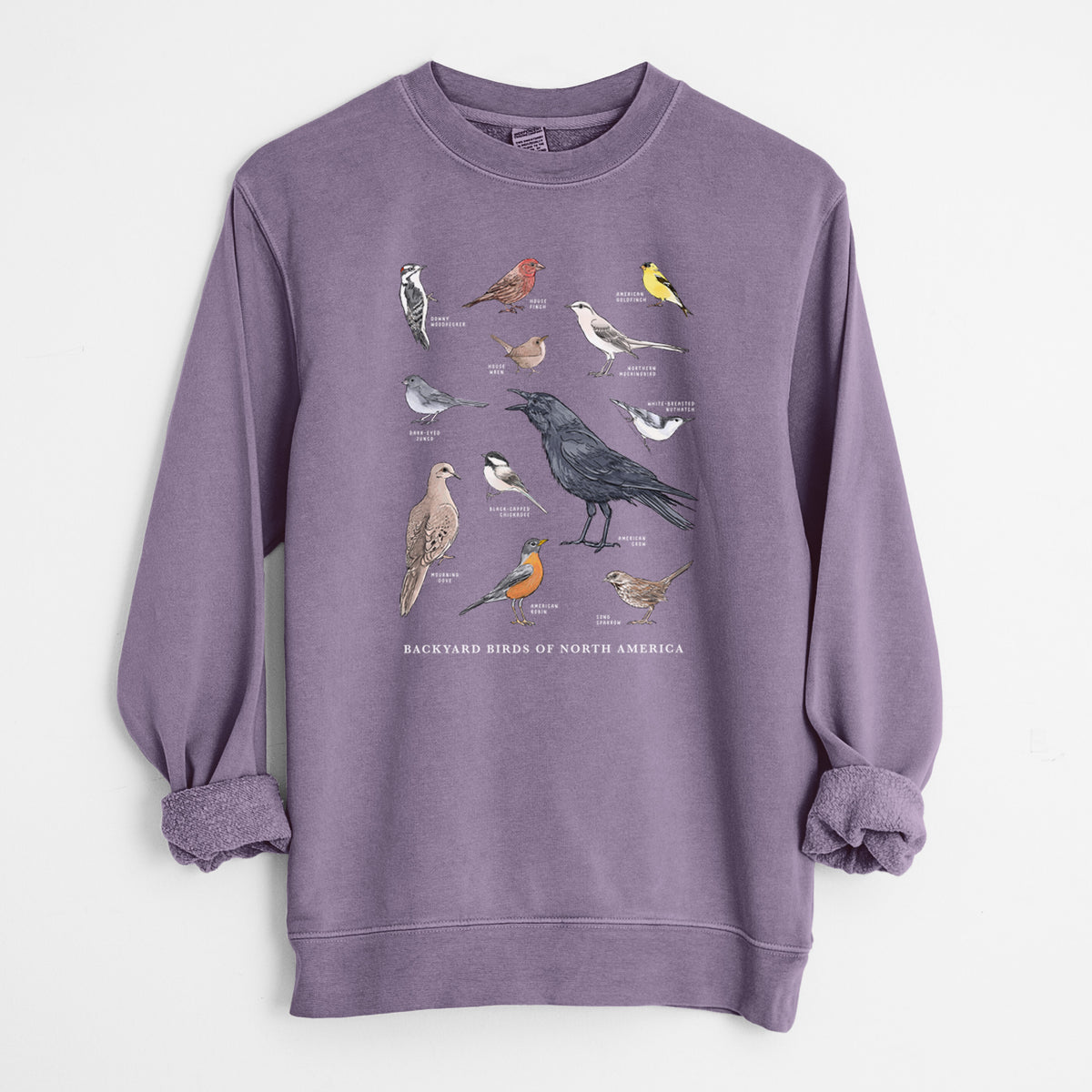 Common Backyard Birds of North America - Unisex Pigment Dyed Crew Sweatshirt