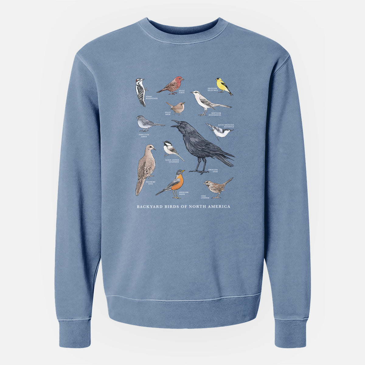 Common Backyard Birds of North America - Unisex Pigment Dyed Crew Sweatshirt