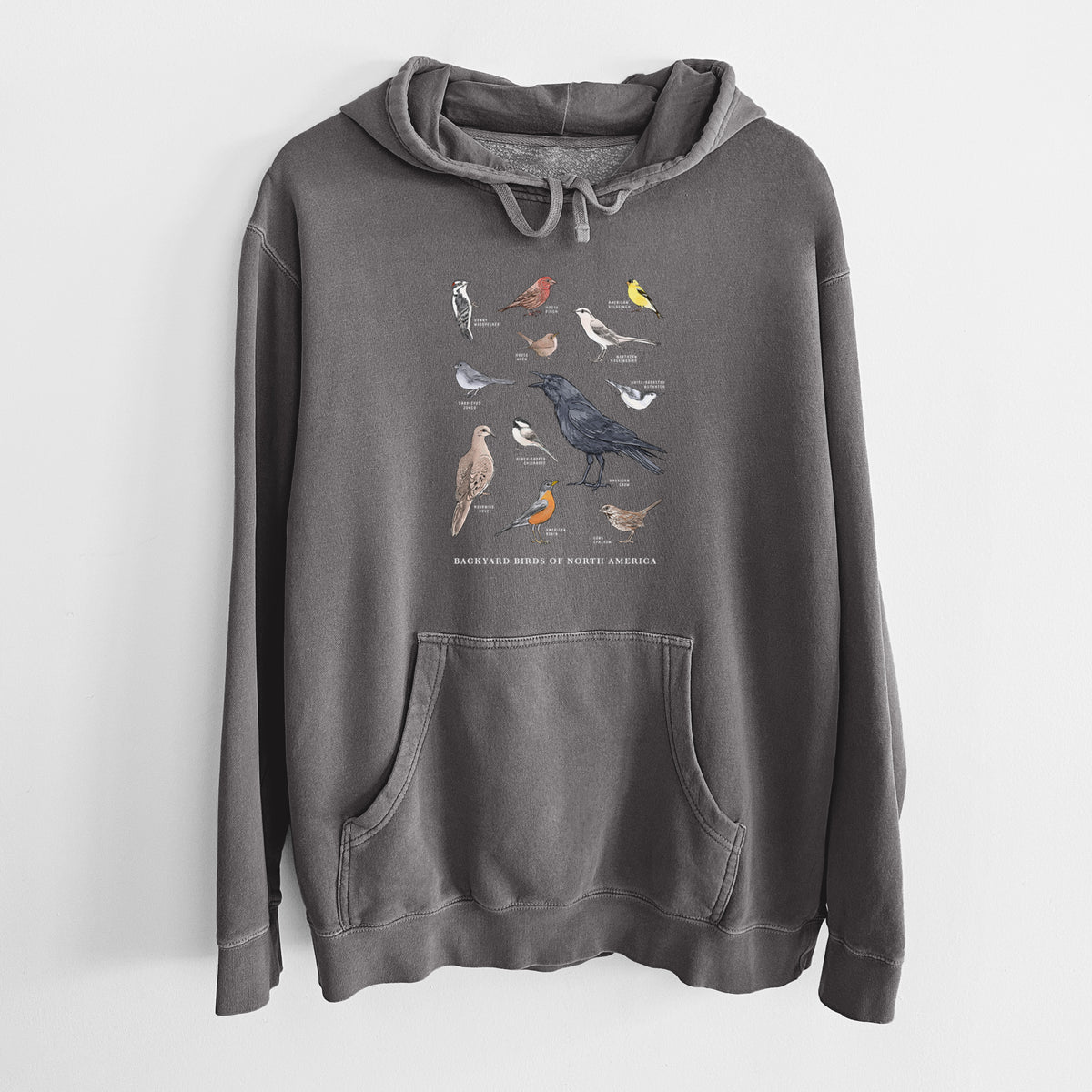 Common Backyard Birds of North America - Unisex Pigment Dyed Hoodie