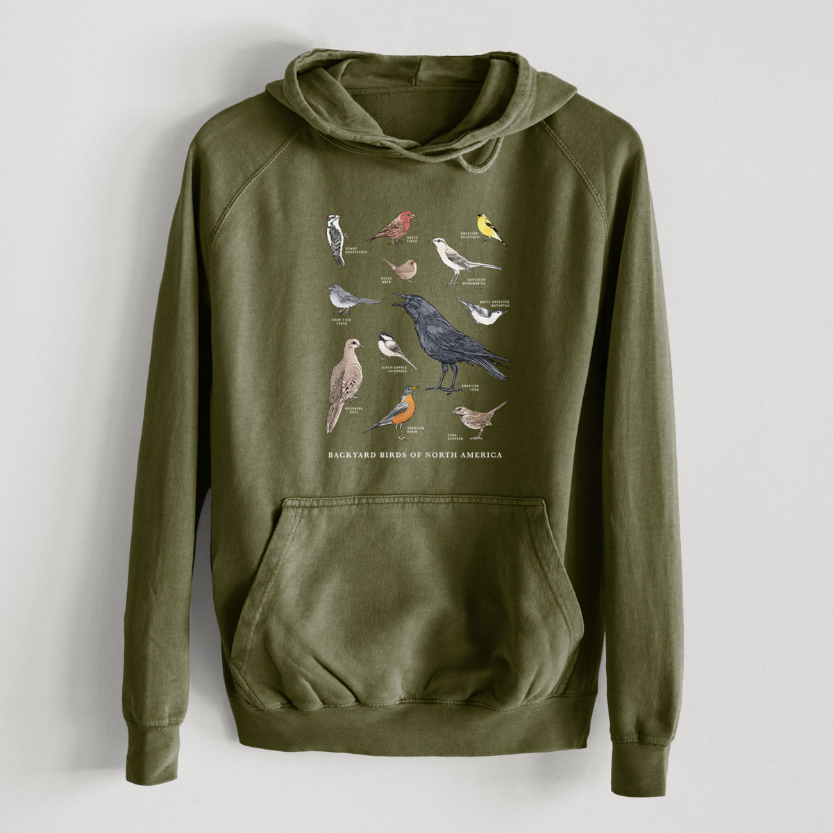 Common Backyard Birds of North America  - Mid-Weight Unisex Vintage 100% Cotton Hoodie