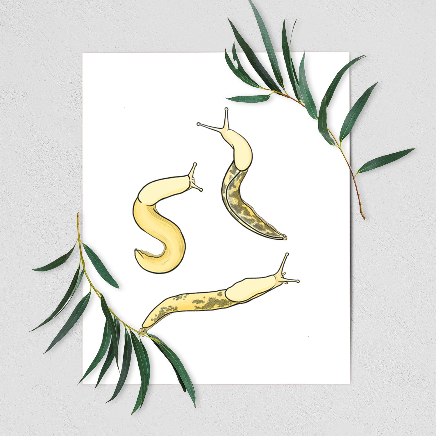 Banana Slug Squad - Ariolimax columbianus - Fine Art Print