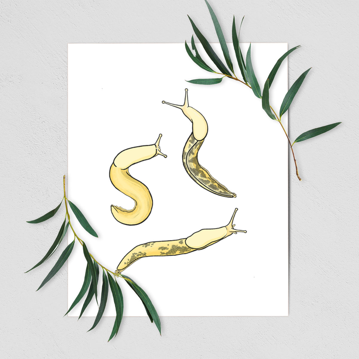 Banana Slug Squad - Ariolimax columbianus - Fine Art Print