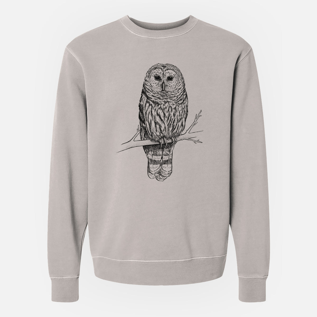 Barred Owl - Strix varia - Unisex Pigment Dyed Crew Sweatshirt