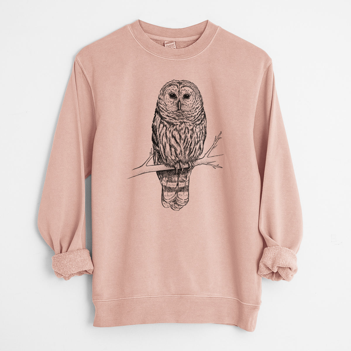 Barred Owl - Strix varia - Unisex Pigment Dyed Crew Sweatshirt