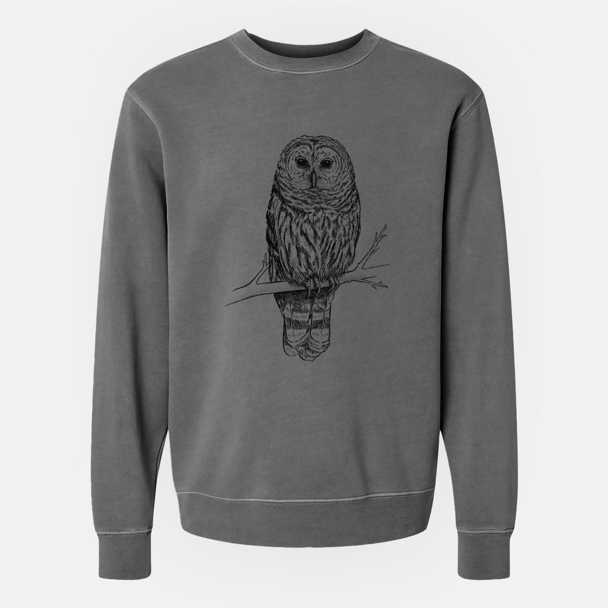 Barred Owl - Strix varia - Unisex Pigment Dyed Crew Sweatshirt