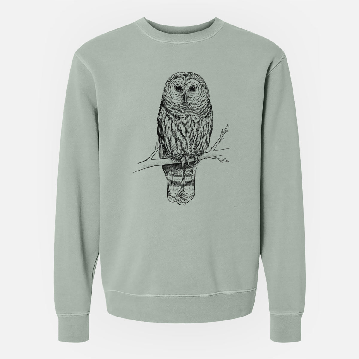 Barred Owl - Strix varia - Unisex Pigment Dyed Crew Sweatshirt