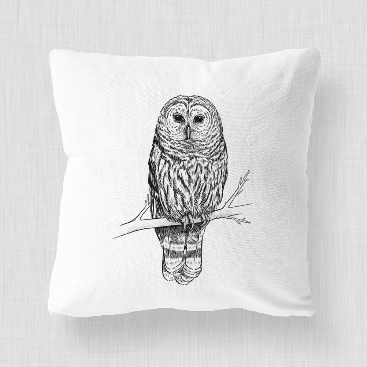 Barred Owl - Strix varia - Throw Pillow Cover