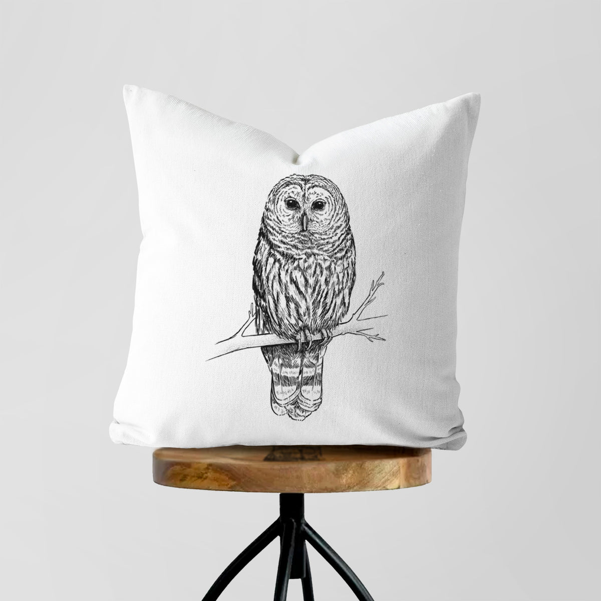 Barred Owl - Strix varia - Throw Pillow Cover