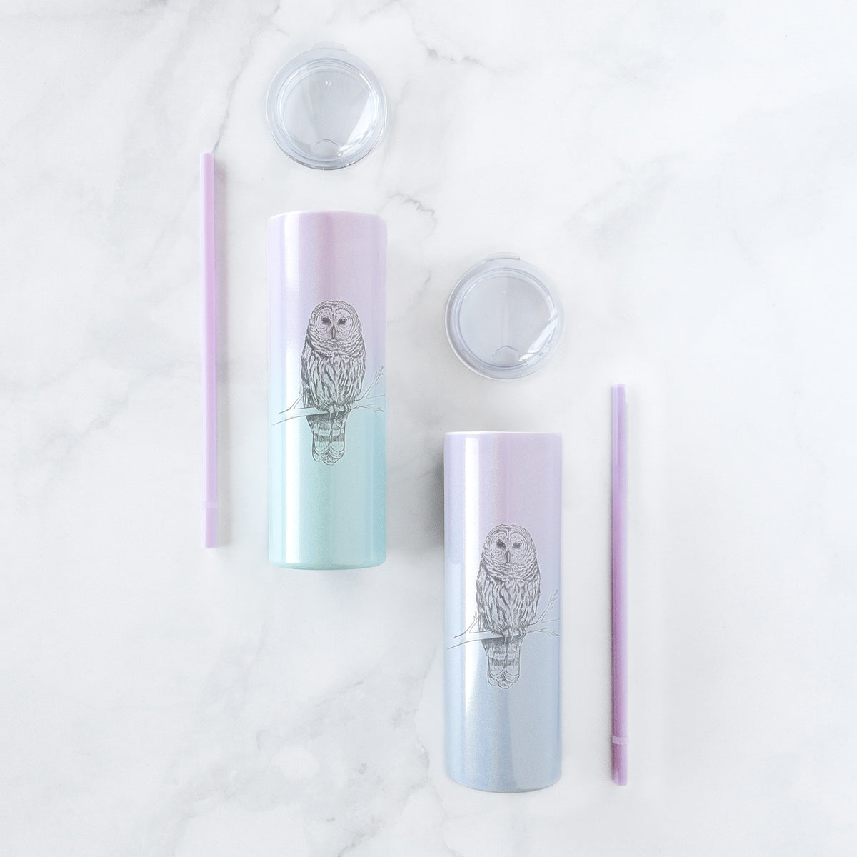 Barred Owl - Strix varia - 20oz Skinny Tumbler
