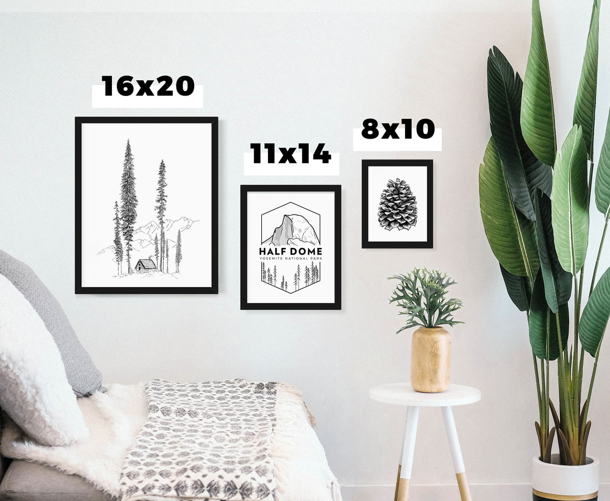 Frosted Evergreens - Fine Art Print