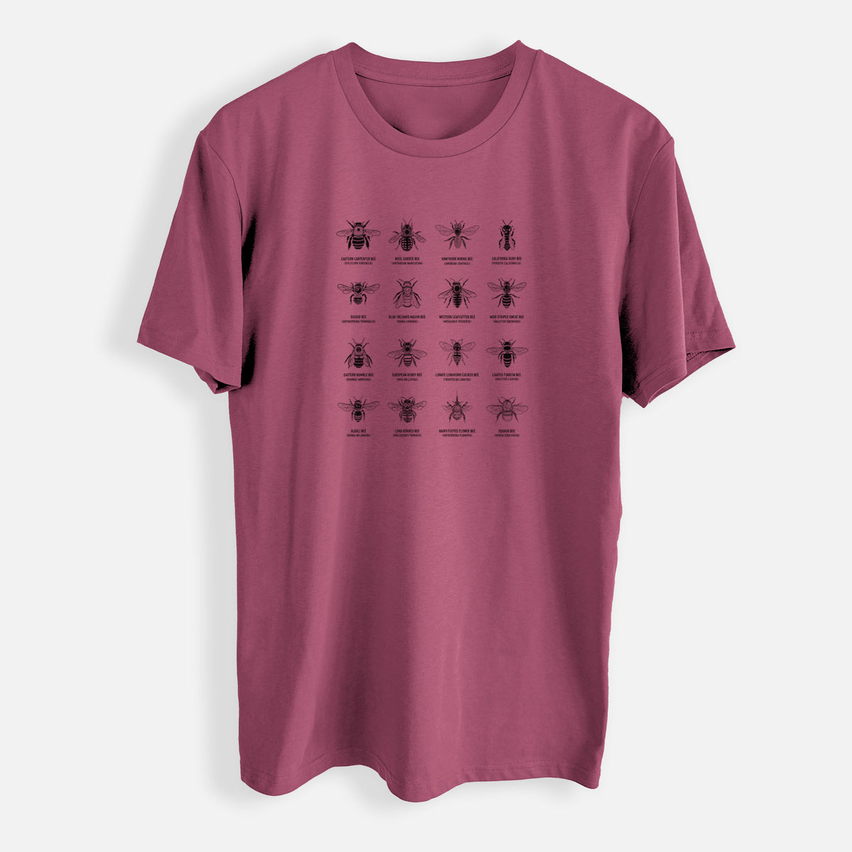 Bee Chart - Bees in North America - Mens Everyday Staple Tee