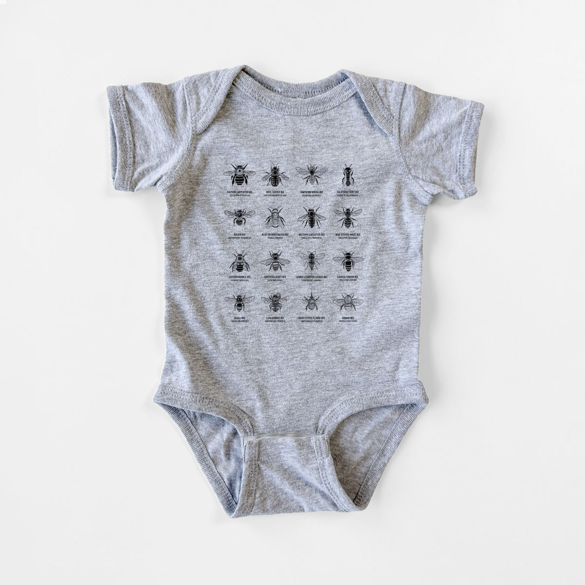 Bee Chart - Bees in North America - Baby Fine Jersey Bodysuit