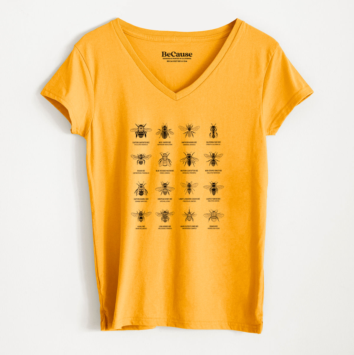 Bee Chart - Bees in North America - Women&#39;s 100% Recycled V-neck