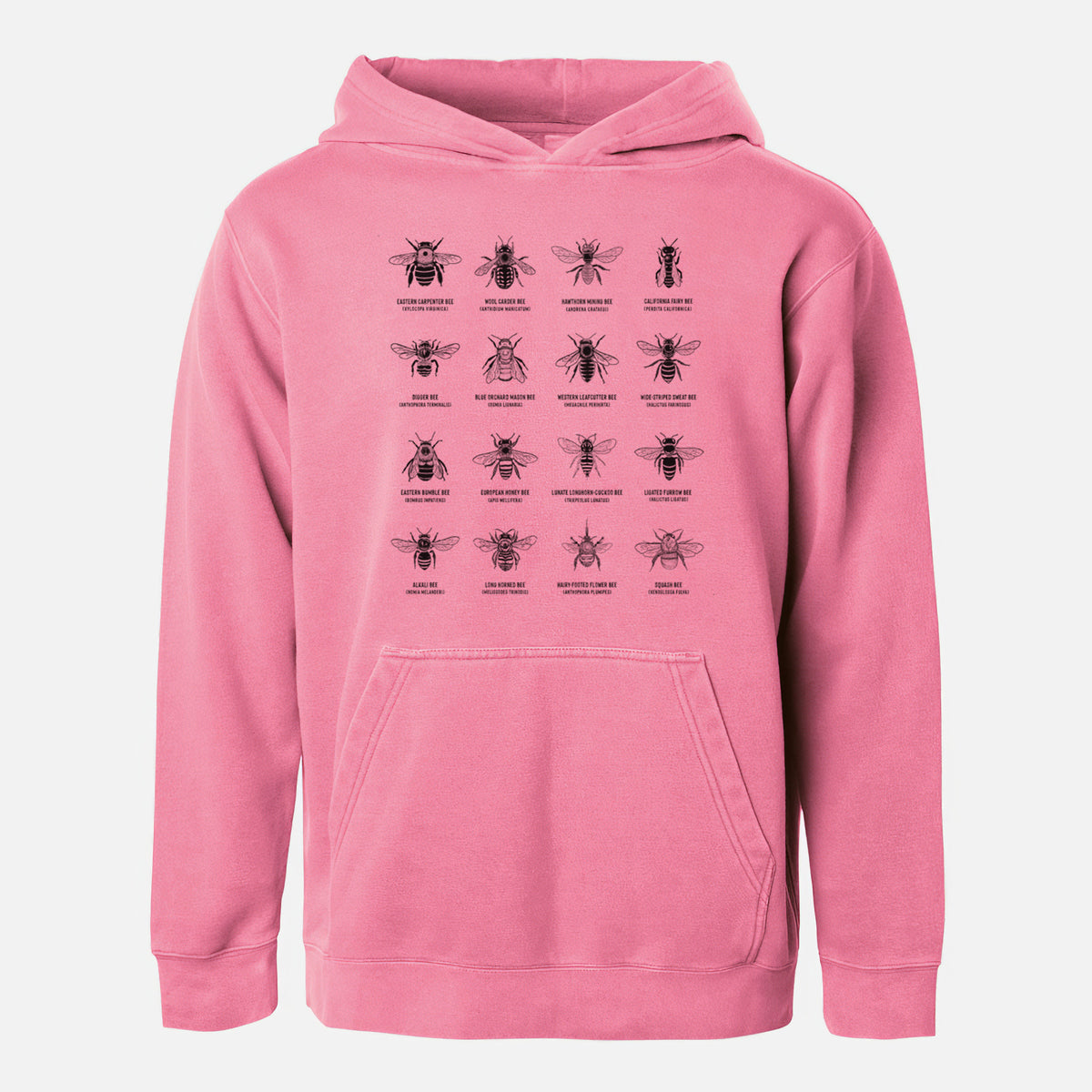 Bee Chart - Bees in North America - Youth Pigment Dyed Hoodie