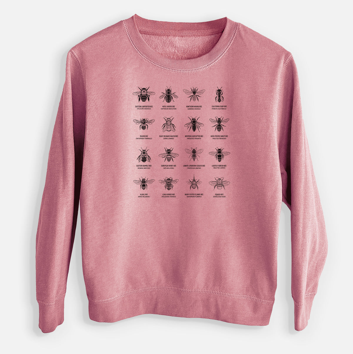 Bee Chart - Bees in North America - Youth Lightweight Crewneck Sweatshirt