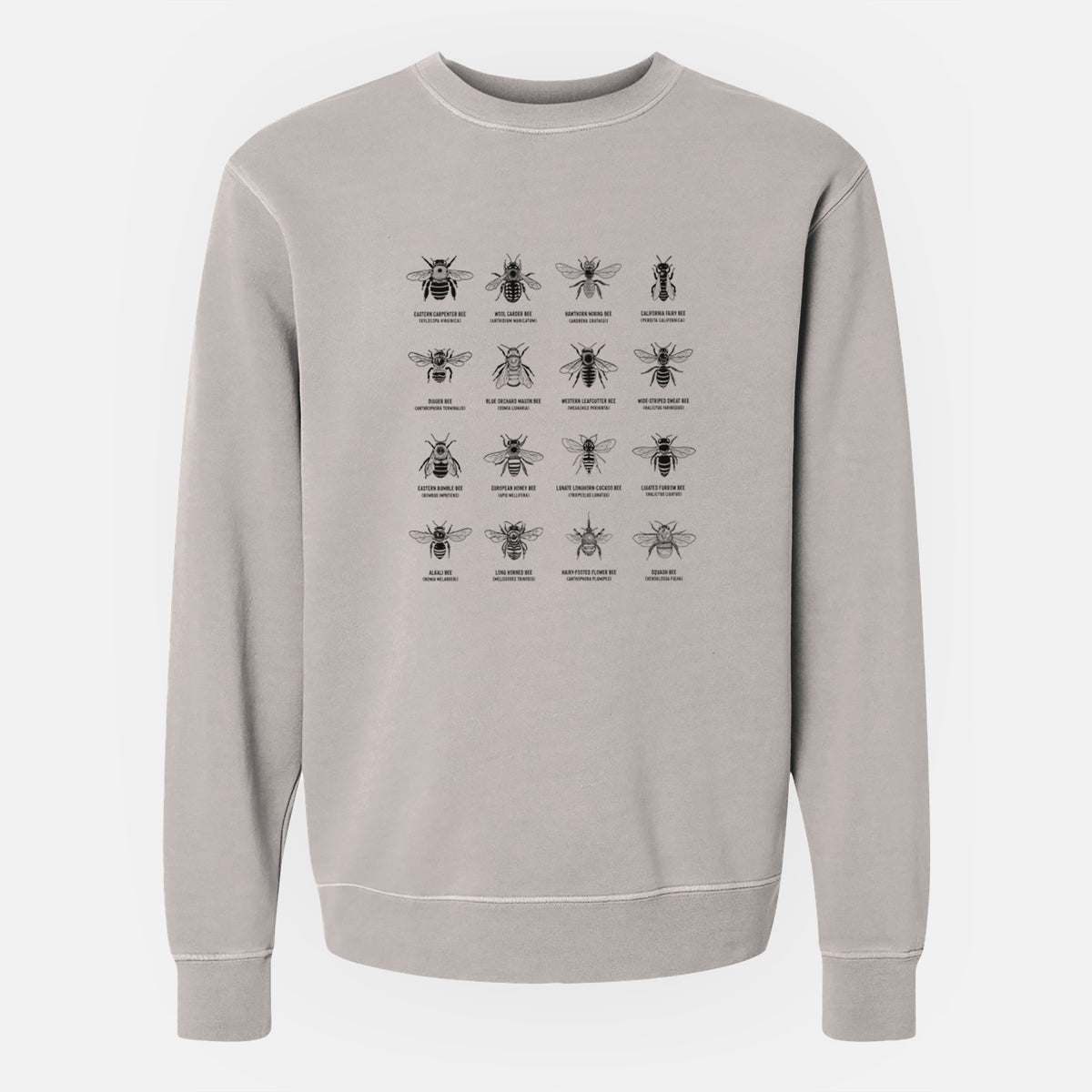 Bee Chart - Bees in North America - Unisex Pigment Dyed Crew Sweatshirt