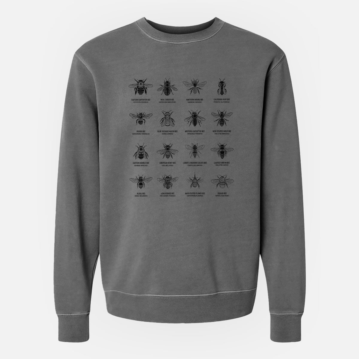 Bee Chart - Bees in North America - Unisex Pigment Dyed Crew Sweatshirt