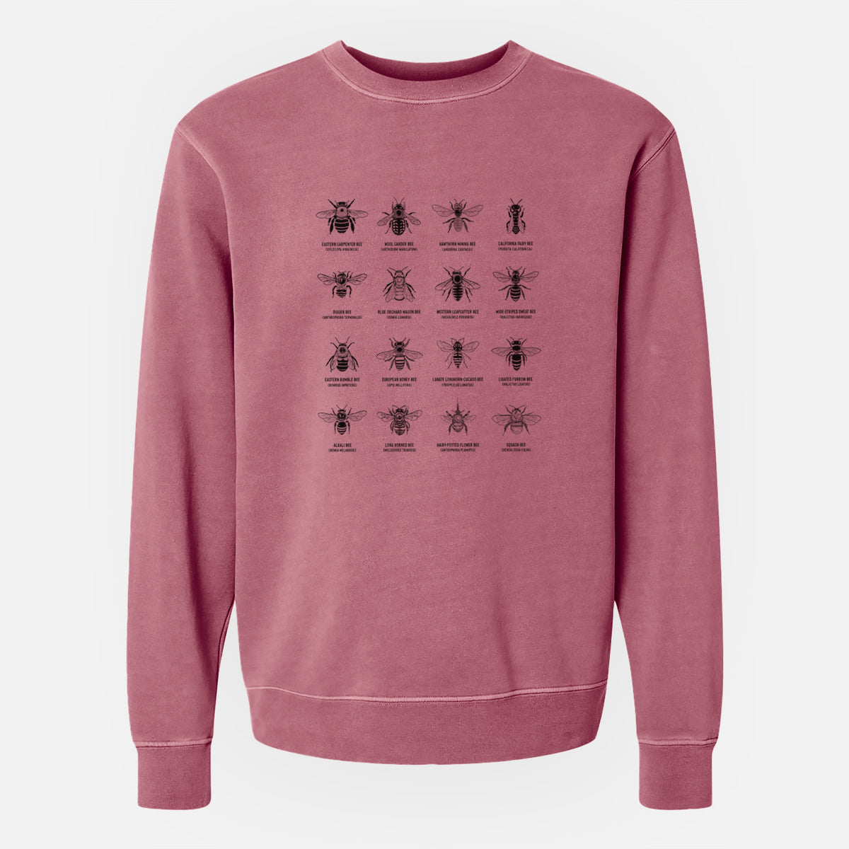 Bee Chart - Bees in North America - Unisex Pigment Dyed Crew Sweatshirt