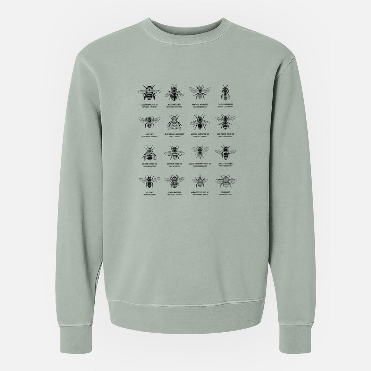 Bee Chart - Bees in North America - Unisex Pigment Dyed Crew Sweatshirt