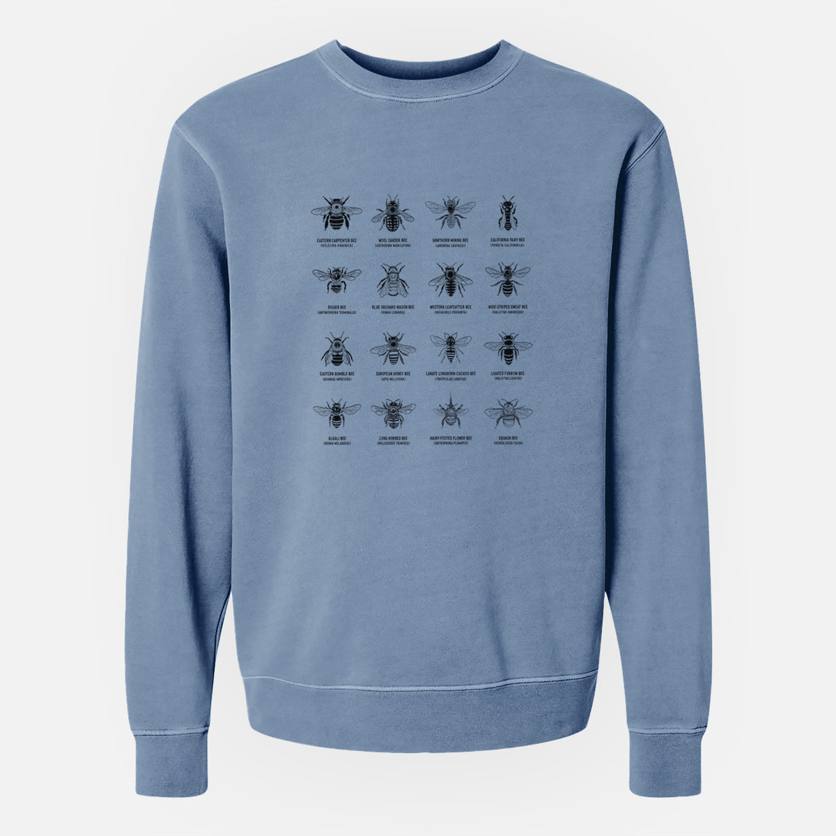 Bee Chart - Bees in North America - Unisex Pigment Dyed Crew Sweatshirt